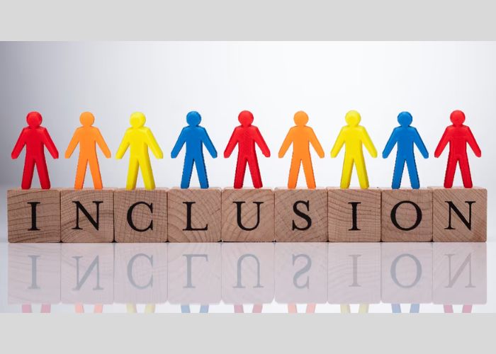 inclusion